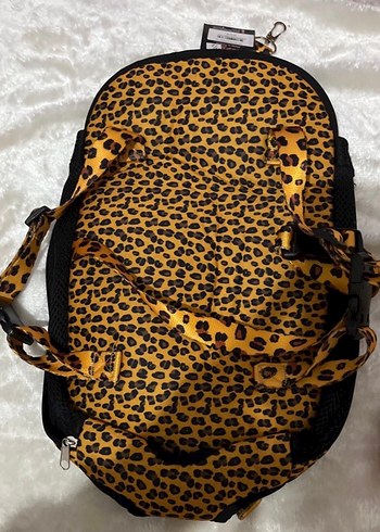 kedi köpek ana kucağı - Görsel 2