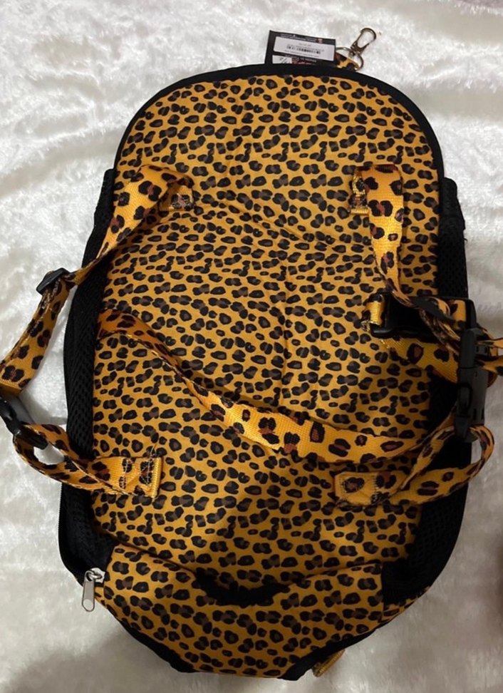 kedi köpek ana kucağı - Görsel 2