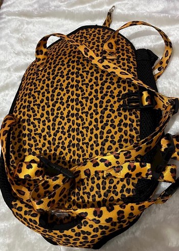 kedi köpek ana kucağı - Görsel 3