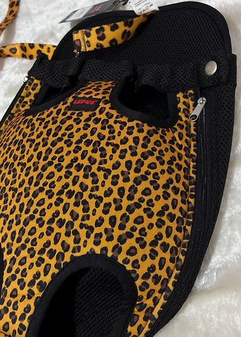 kedi köpek ana kucağı - Görsel 2