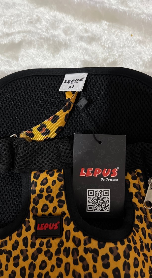 kedi köpek ana kucağı - Görsel 4