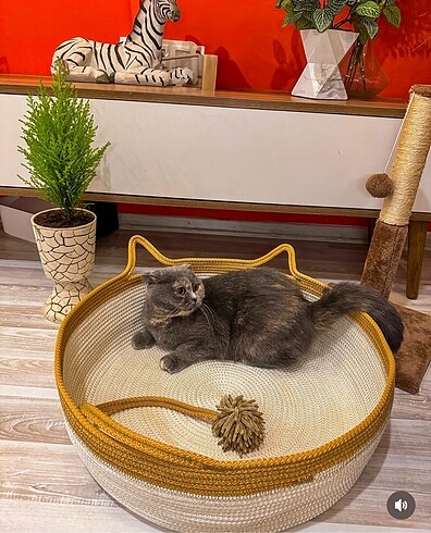 Kedi evi yatağı