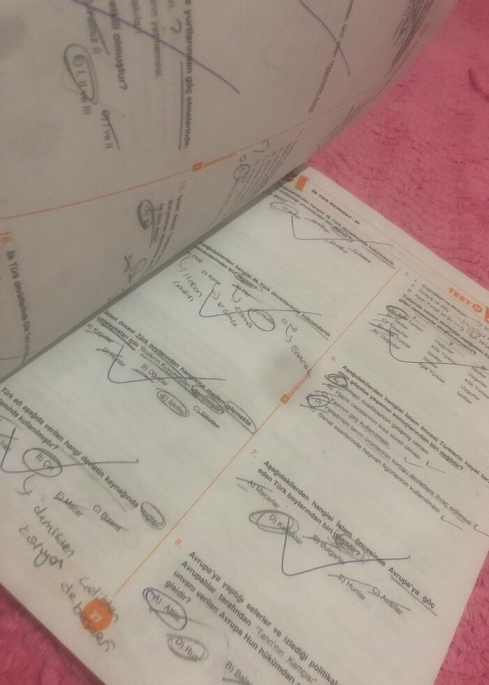 Benim hocam Ayt tarih soru bankası - Görsel 4