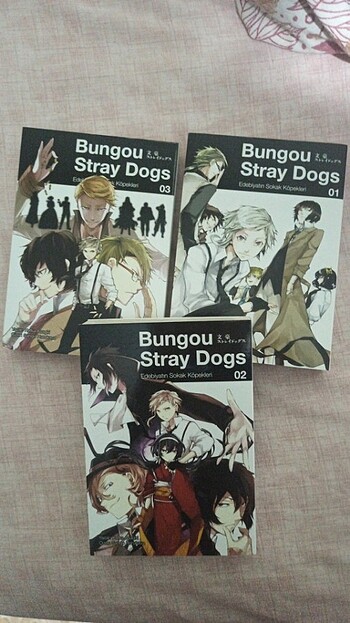 Bungou stray dogs 