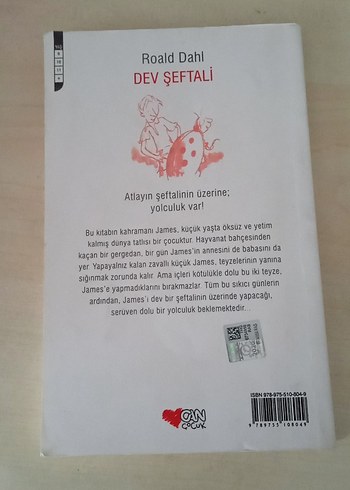 Roald Dahl - Dev Şeftali - Görsel 2