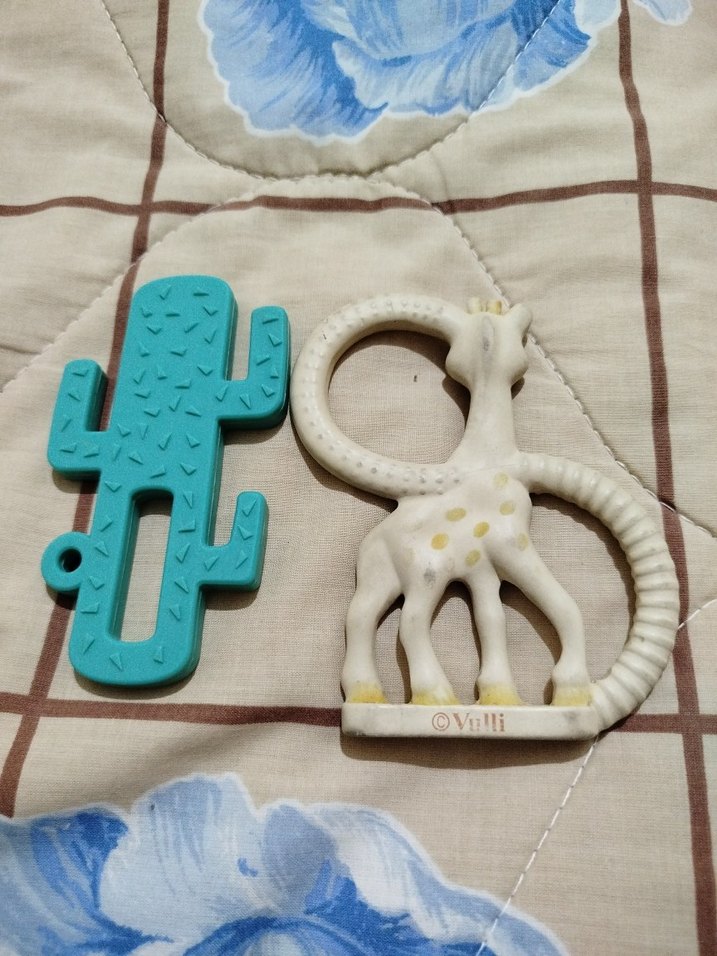 Pastel Turkuaz Diş Kaşıyıcı ve Zurafa Oyuncak - Görsel 2