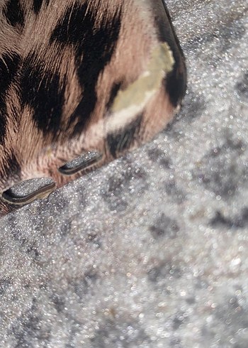 İphone 13 kılıfları - Görsel 2