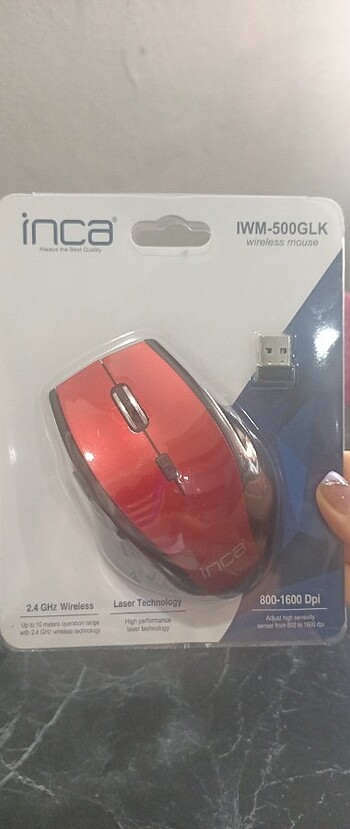 İnca mouse