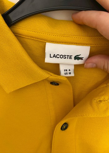 Orijinal Lacoste Tişört Erkek - Görsel 3
