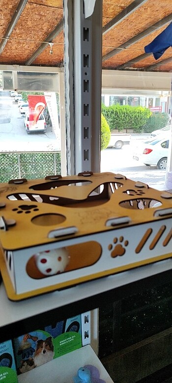 Kedi oyuncağı