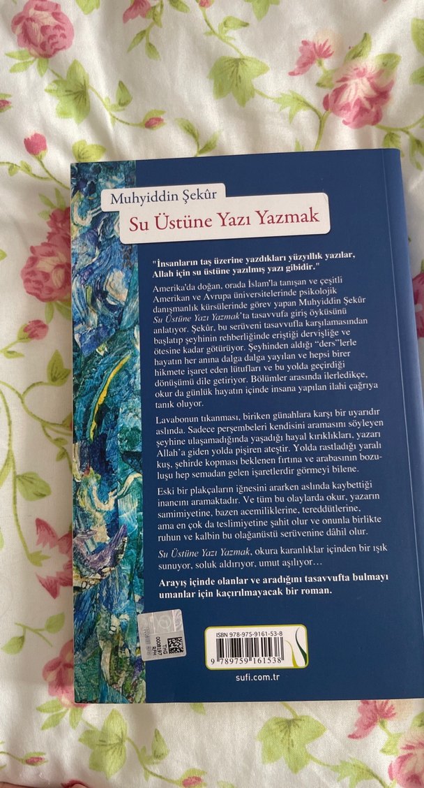 Su Üstüne Yazı Yazmak - Muhyiddin Sekür - Görsel 3
