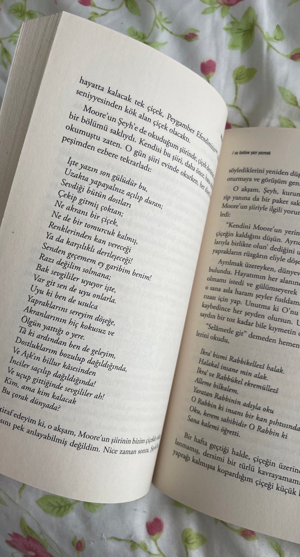 Su Üstüne Yazı Yazmak - Muhyiddin Sekür - Görsel 2