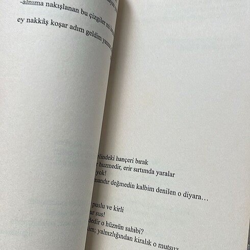 Şiir Kitabı - Görsel 3