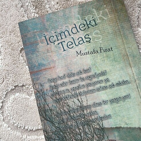 Şiir Kitabı - Görsel 2