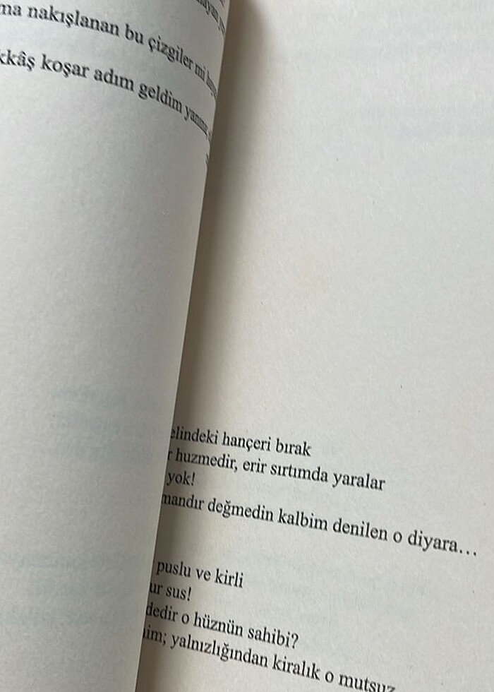 Şiir Kitabı - Görsel 3