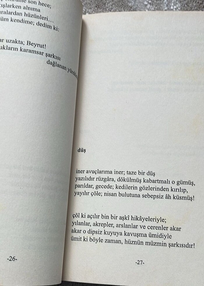 Şiir Kitabı - Görsel 4