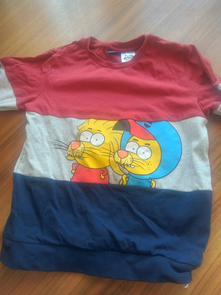 Renkli Baskılı Erkek Çocuk Sweatshirt - Görsel 4