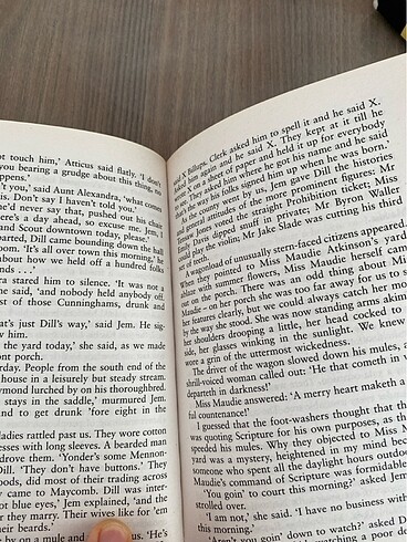  Beden Renk Bülbülü öldürmek To kill a mockingbird