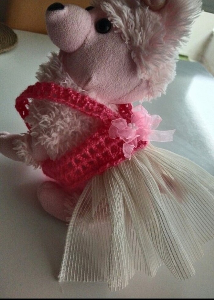 Kedi elbisesi  - Görsel 2