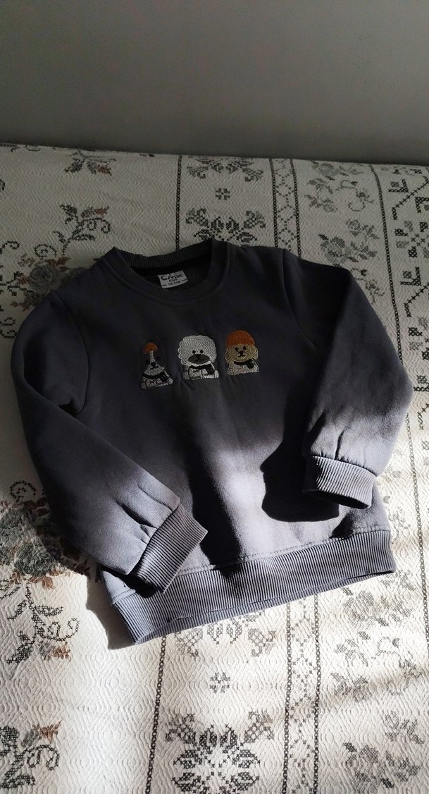 Gri Erkek Çocuk Nakışlı Sweatshirt - Görsel 2