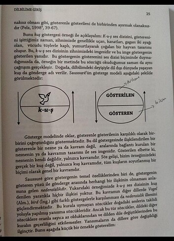 Dilbilime giriş 
