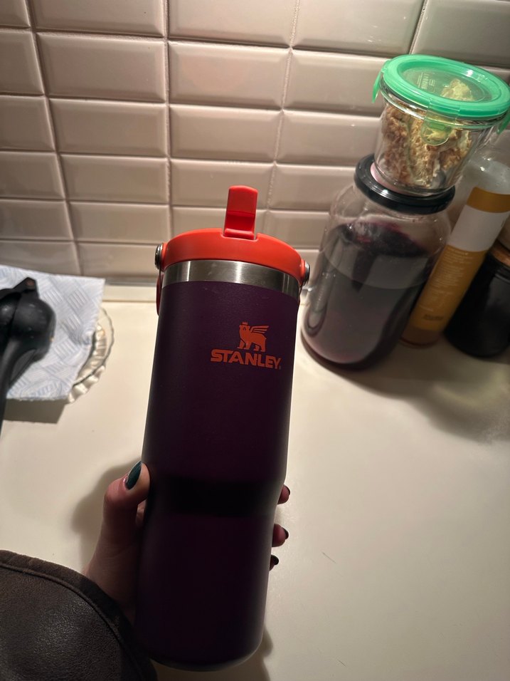 Stanley Mor Termos - Görsel 2