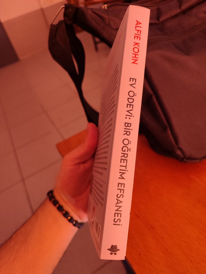 Ev Ödevi: Bir Öğretim Efsanesi - Alfie Kohn - Görsel 3