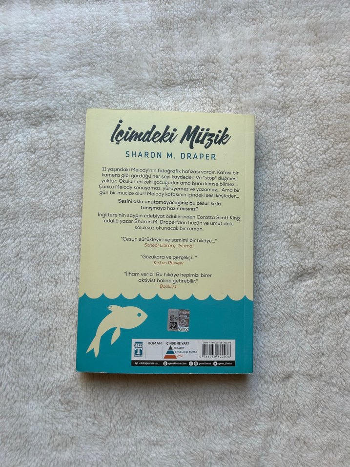 İçimdeki Müzik - Sharon M. Draper - Görsel 2