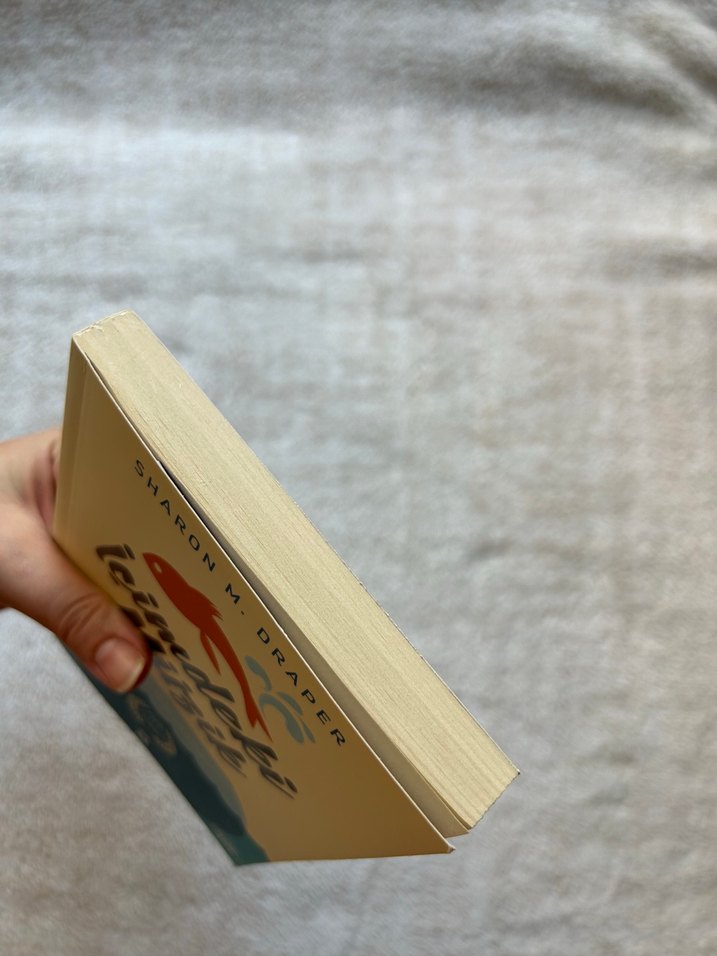 İçimdeki Müzik - Sharon M. Draper - Görsel 5