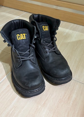 Cat 36