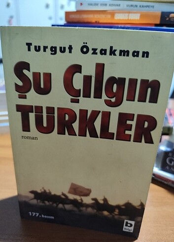 Şu çılgın Türkler 