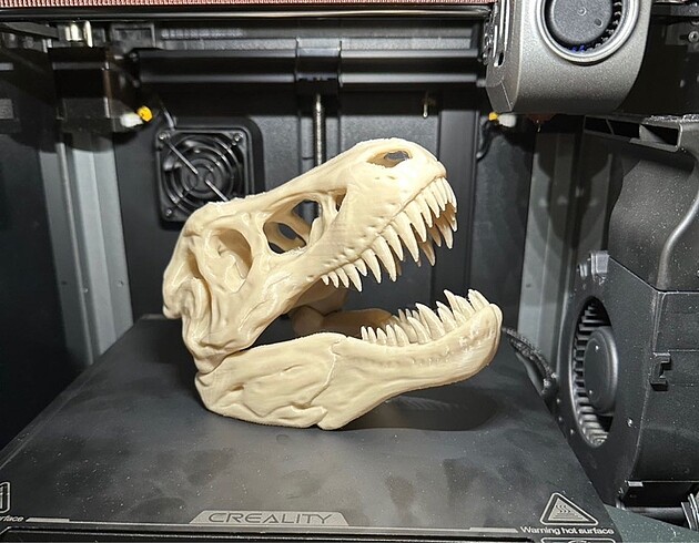 T-Rex İskeleti 3d figür