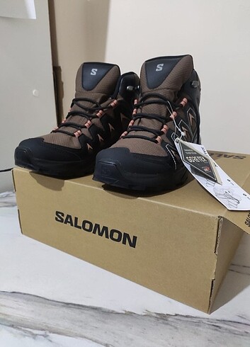 Salomon bot