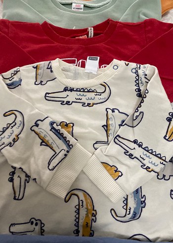 Erkek Çocuk Çok Renkli Uzun Kollu Tişört Seti - Görsel 2