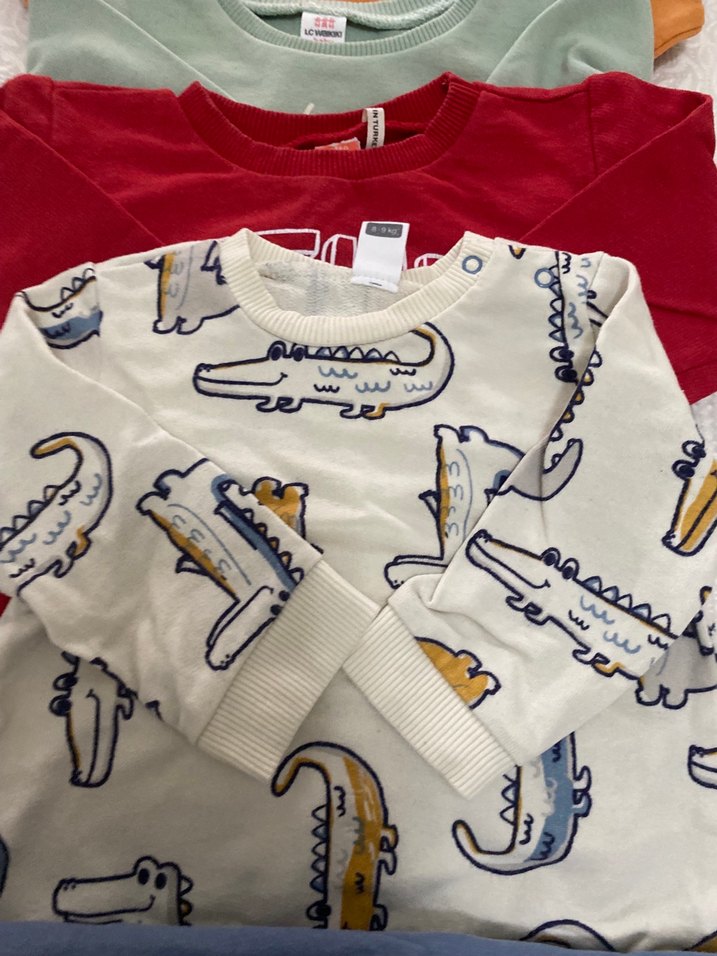 Erkek Çocuk Çok Renkli Uzun Kollu Tişört Seti - Görsel 2