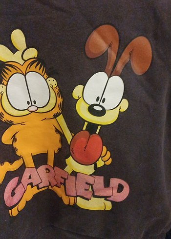 Garfield Baskılı Kahverengi Erkek Çocuk Sweatshirt - Görsel 2