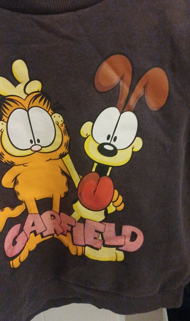 Garfield Baskılı Kahverengi Erkek Çocuk Sweatshirt - Görsel 2