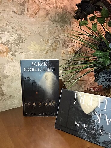 Sokak Nöbetçileri 2