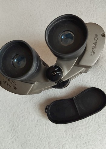 Gri Dürbün - Görsel 2