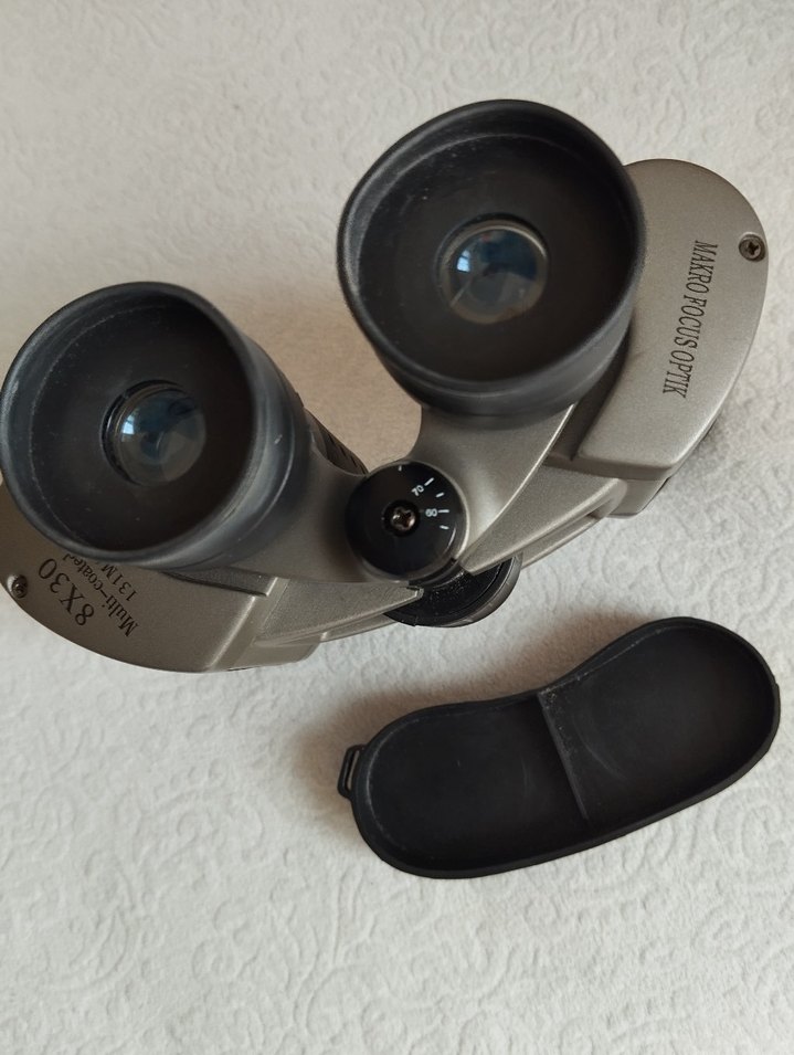 Gri Dürbün - Görsel 2