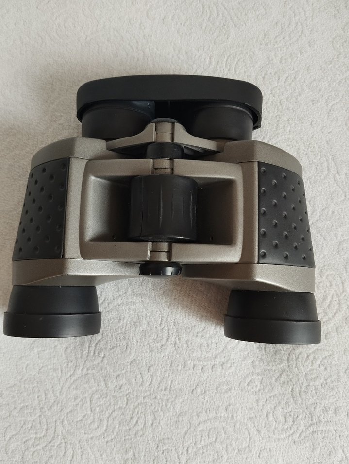 Gri Dürbün - Görsel 4