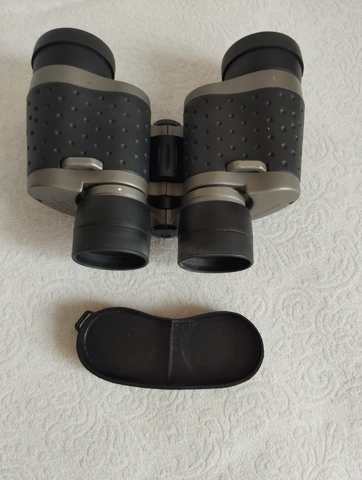 Gri Dürbün - Görsel 3