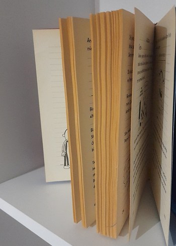 Saftirik Greg'in Günlüğü - Wimpy Kid - Görsel 3