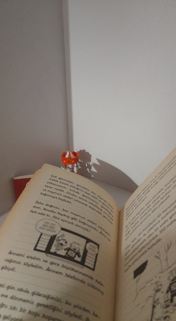 Saftirik Greg'in Günlüğü - Wimpy Kid - Görsel 4