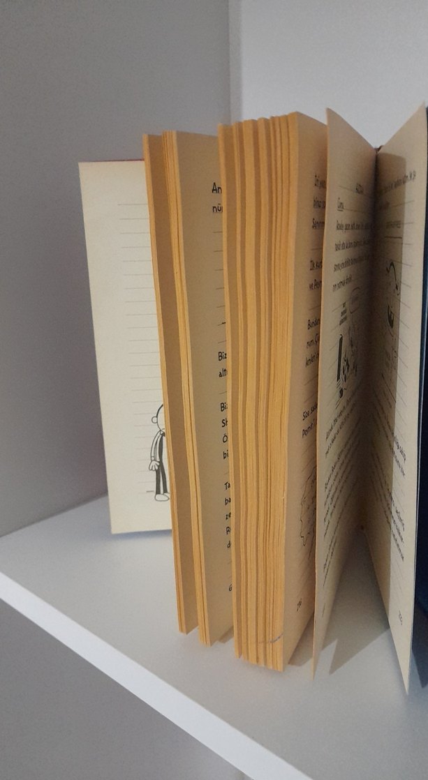 Saftirik Greg'in Günlüğü - Wimpy Kid - Görsel 3