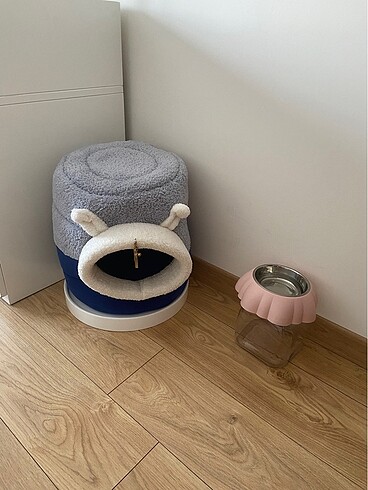 Kedi Evi