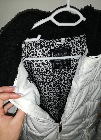 xl Beden Montt