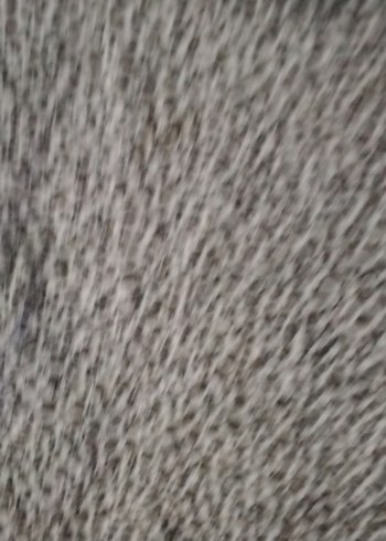 s Beden Gri Zebra Desenli Örme Kadın Pijama Takımı