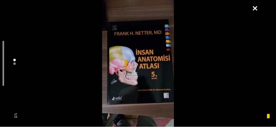 TIP Netter Anatomi Atlası 5. Baskı