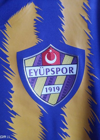 Eyüpspor Erkek Renkli Spor Rozeti